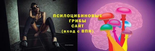 хмурый Нягань