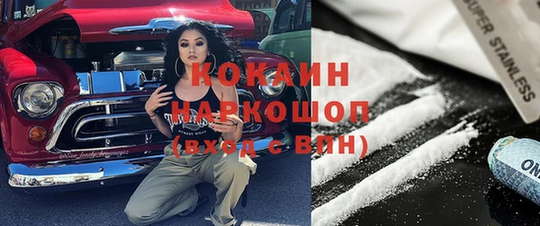 соль ск Абаза