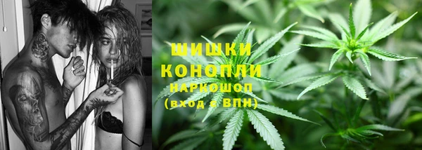 соль ск Абаза